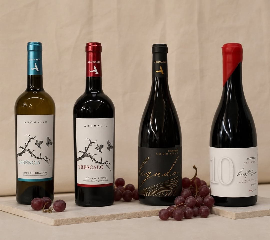 Descubra as Histórias por Trás dos Nossos Vinhos